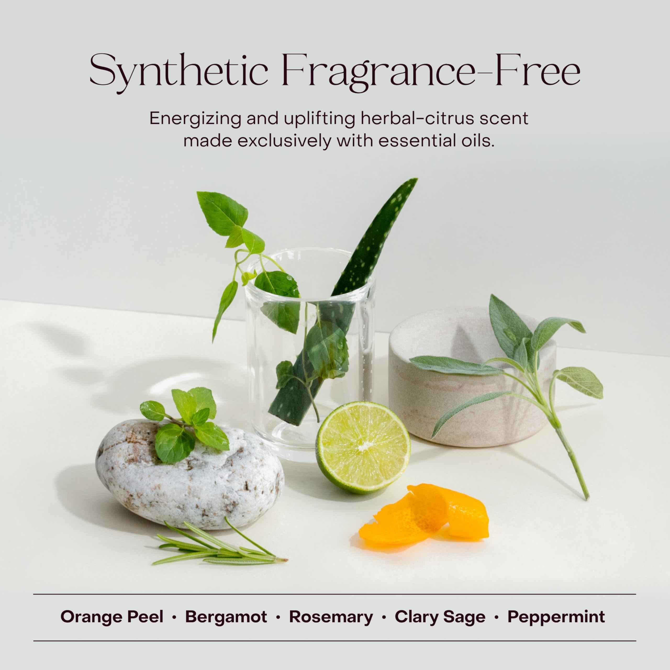 Everist The Haircare Essentials, Meets Skincare Set - Elegance_empire-shop