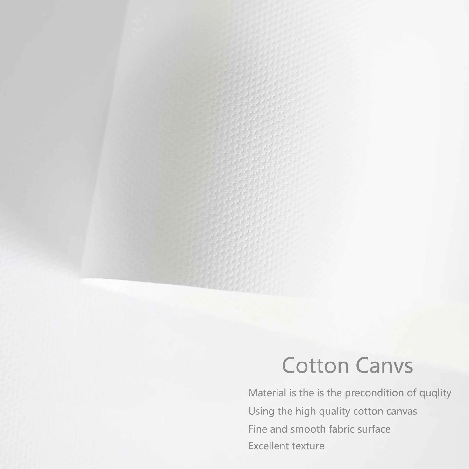 F1 World Champion Racer Ayrton Senna Graffiti Racing Formula 1 Poster Decorative Paintings Canvas Wall Art Pictures Home Decor